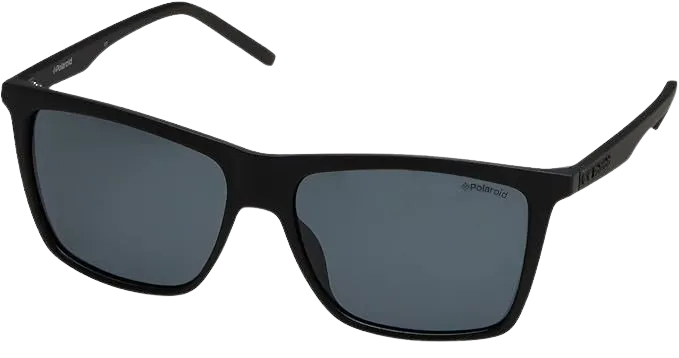 Gafas de sol Polaroid PLD 2050 negras de acetato polarizadas para hombre